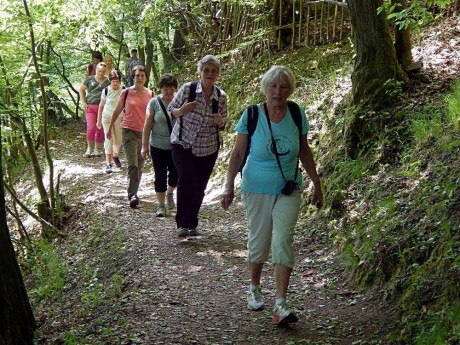 K Svatojánským proudům 6