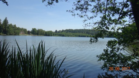 Vyžlovský rybník  (1)
